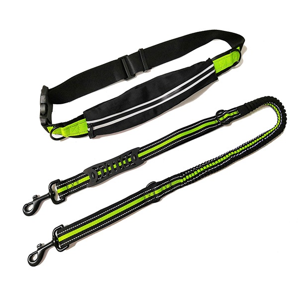 hands free dog leash