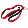 car dog leash