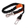car dog leash