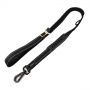 car dog leash