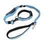 car dog leash