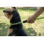 pet rope traction