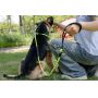 pet rope traction